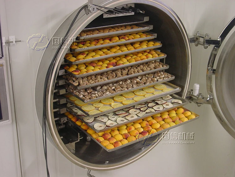 Frozen Apple Slices Drying Machine Industrial Fruit Vacuum Freeze Dryer