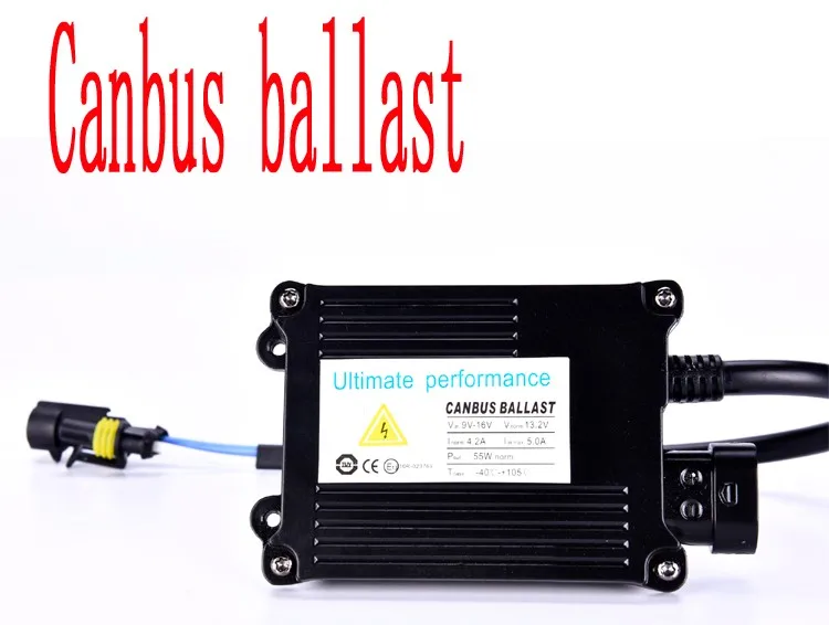 _DSC5973750.jpg .jpg