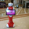 Professional Robotic Commercial , Commercial Wireless Robot ,Guide robot,welcome robot,