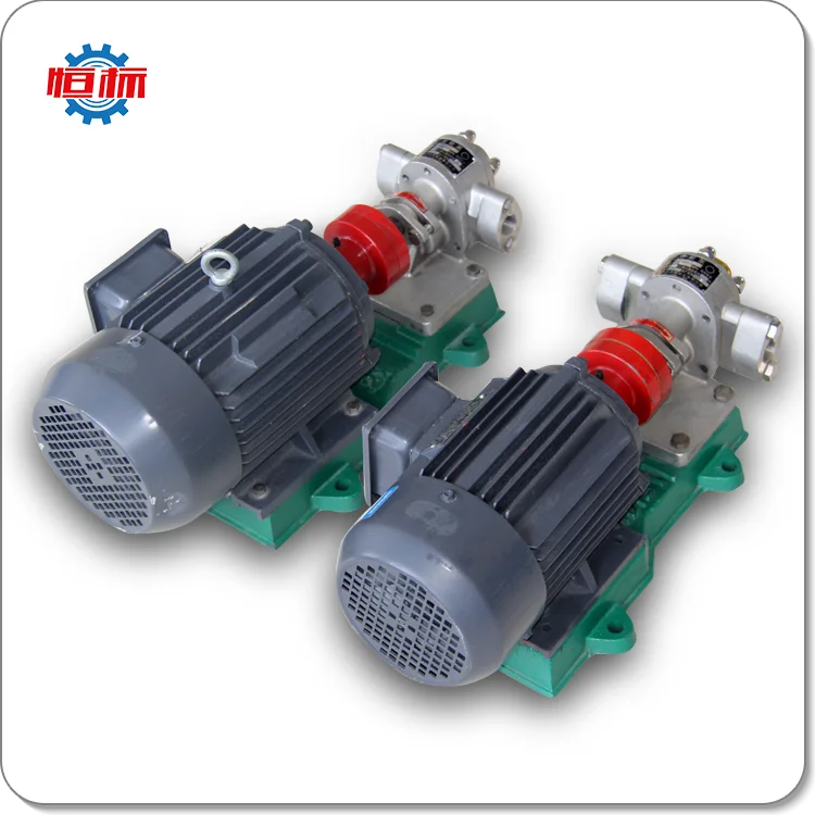 Food Oil Gear Pump Hengbiao Shenghui Stainless Steel Oil 5cst Korea For
