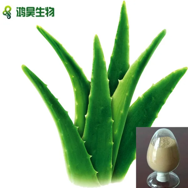 100 Natural Pure Aloe Vera Gel Extract Powder 2001 Aloe Vera Juice