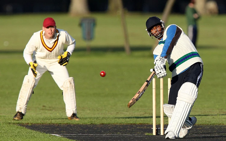 cricket_1.jpg