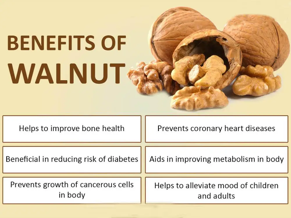 New Ptoduct Pure Natural Black Walnut Oil Price In Bulk Buy Walnut