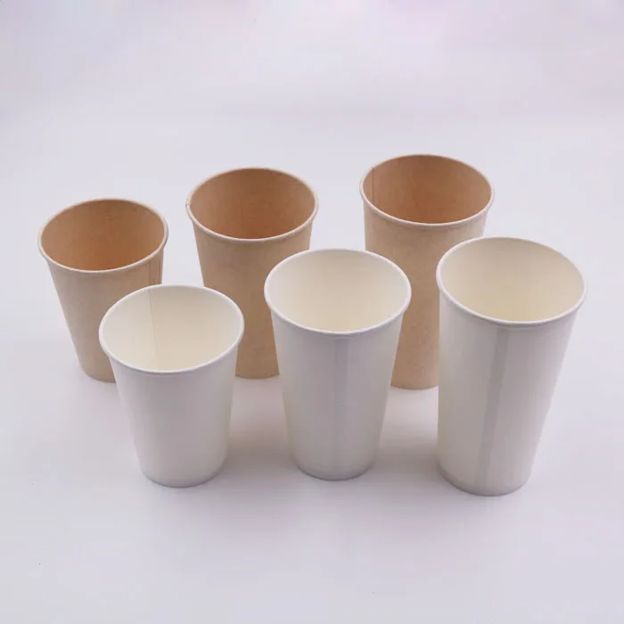 biodegradable bagasse paper pla linned cup