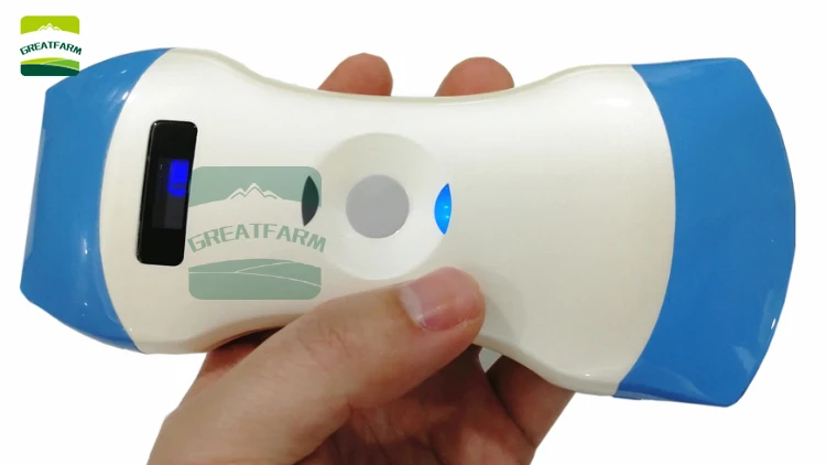 Double probe Wireless Veterinary Ultrasound Scanner Portable Pregnancy Test pig dog pet Handheld Ultrasound Machine Pocket dog