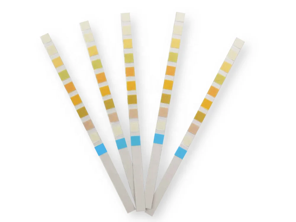 Urine Test Strips Urs 10 Reagent Strips For Urinalysis Buy Urs 10urs