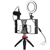 Hot selling PULUZ 4 in 1 Tripod Mount Vlogging Live Broadcast Smartphone Video Rig Ring LED Selfie Light Kits with Microphone