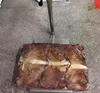 seafood fresh frozen fish squid wing