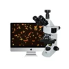 microscope fluorescence/trinocular fluorescence biological microscope