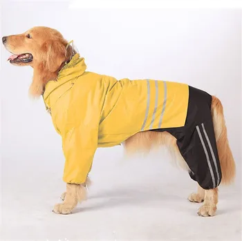 golden retriever rain jacket