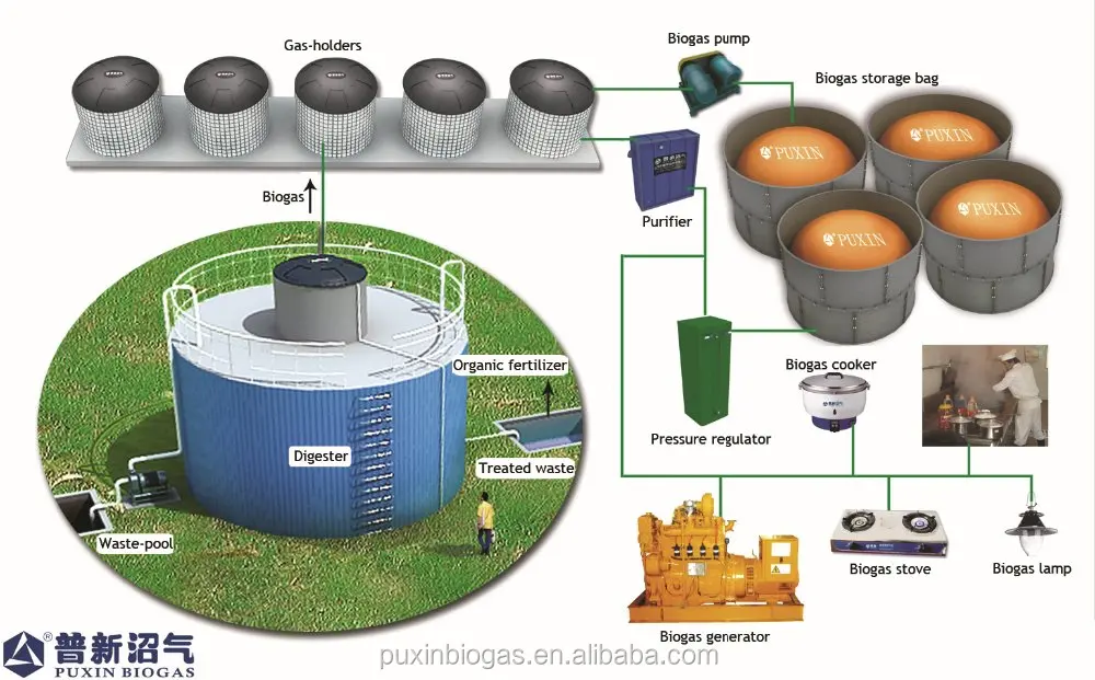 biogas tanaman biodigestor untuk penjagalan puxin 2000 kubik meter pengolahan limbah pengelolaan biogas tanaman biodigestor untuk penjagalan puxin 2000 kubik meter pengolahan limbah pengelolaan