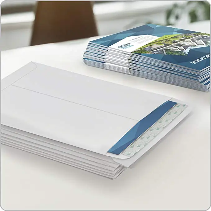 100 Pack 9 x 12 inch Catalog Mailer Envelopes Peel & Seal Clear 