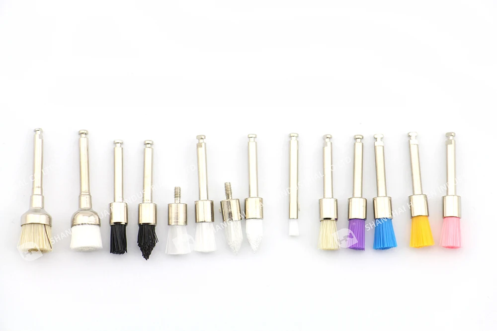 Dental Prophy Brush/ Dental Bristle Brush Buy Dental Bristle Brushes