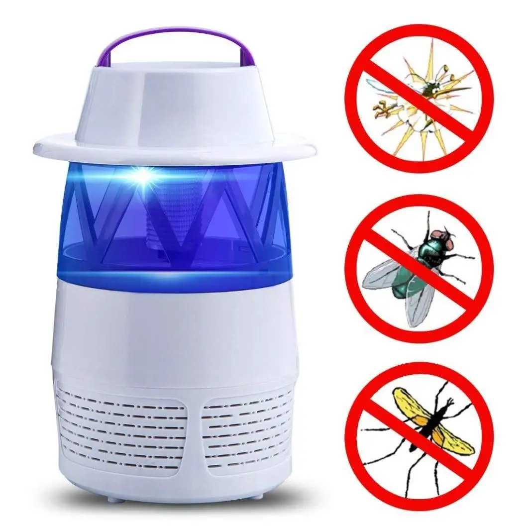 cheap fly killer