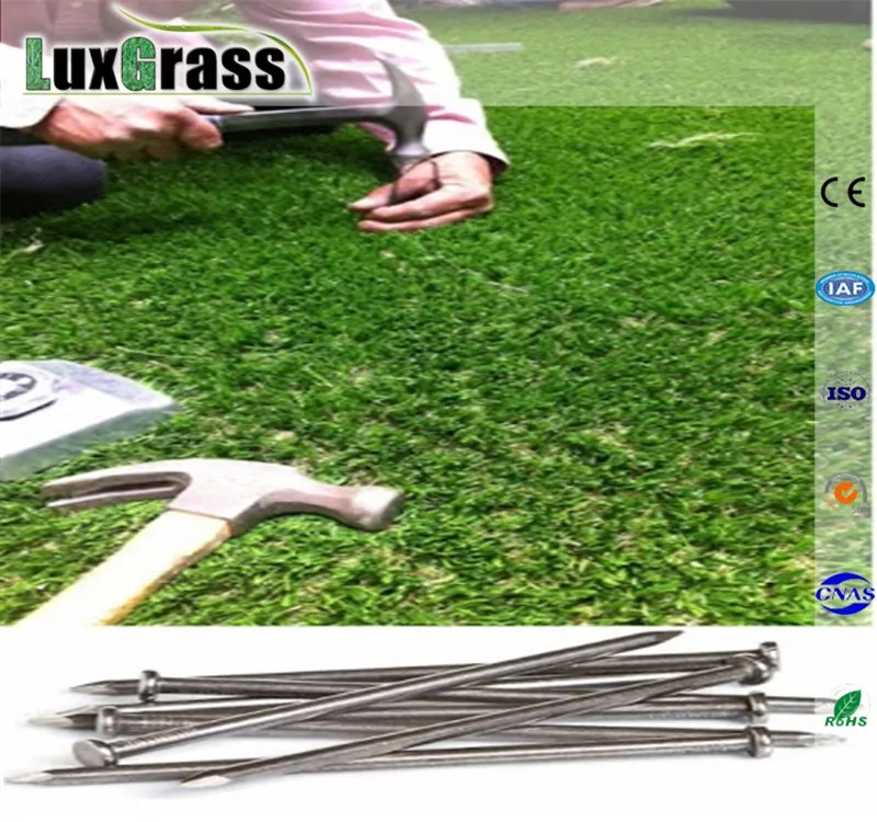 Merajut Mimpi Bisnis Online: Panduan Lengkap Membangun Usaha dari Nol hingga Sukses