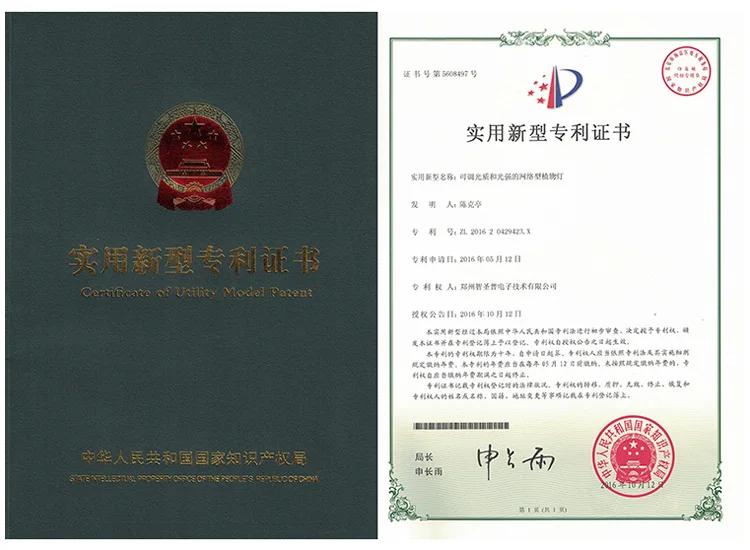 indoor plant growing systems for best vegetables