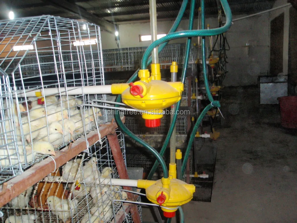 Ce Manufacturing Cage For Quail/wire Mesh Quail Cage Buy Manufacturing Cage For Quail/wire