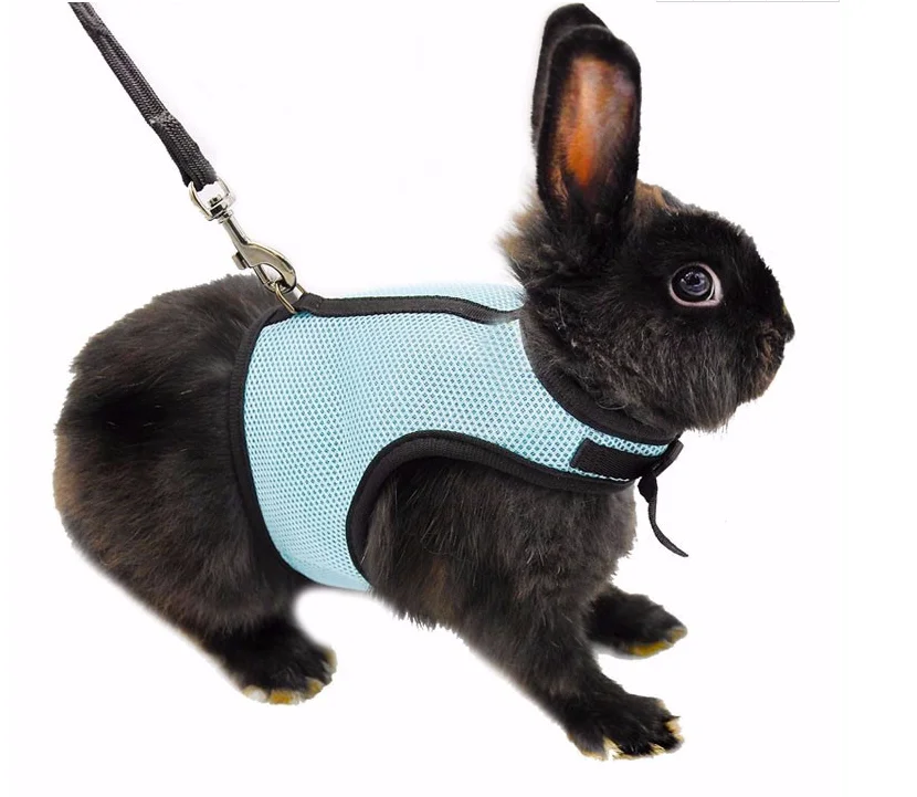 Soft Rabbits Harness With Matching Leash Buy Small Animal Harness