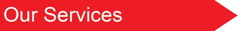 Our Services.png