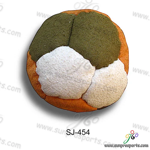 SJ-454.jpg