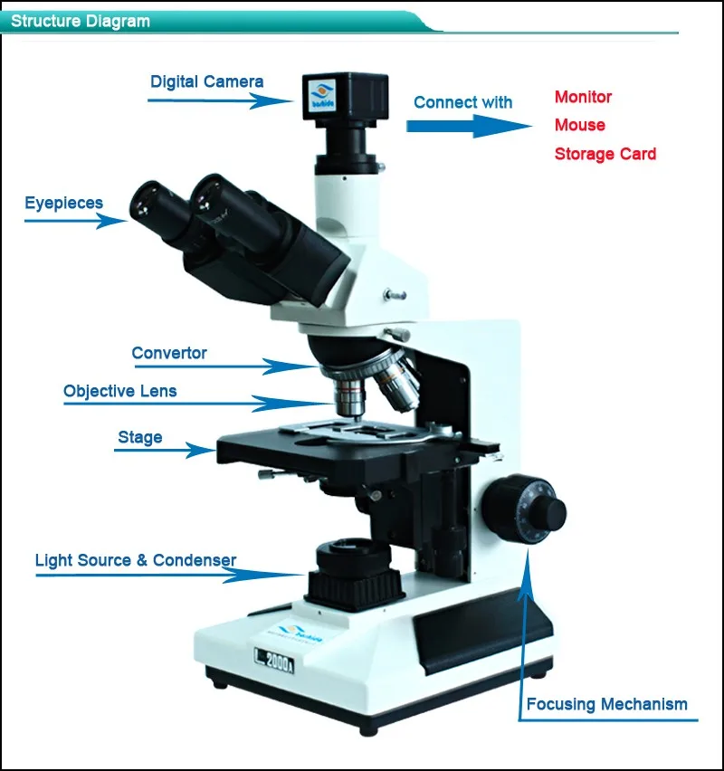 Laboratory Experiment Biological Electron Microscope - Buy Laboratory ...