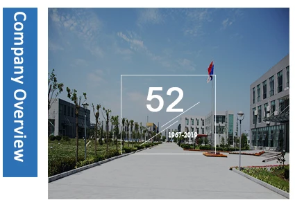 750 800 Company-2.jpg