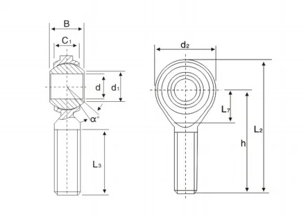 paste-pic-dp_uuid_mf6z5