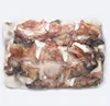 Frozen giant squid neck giant squid meat to thailand