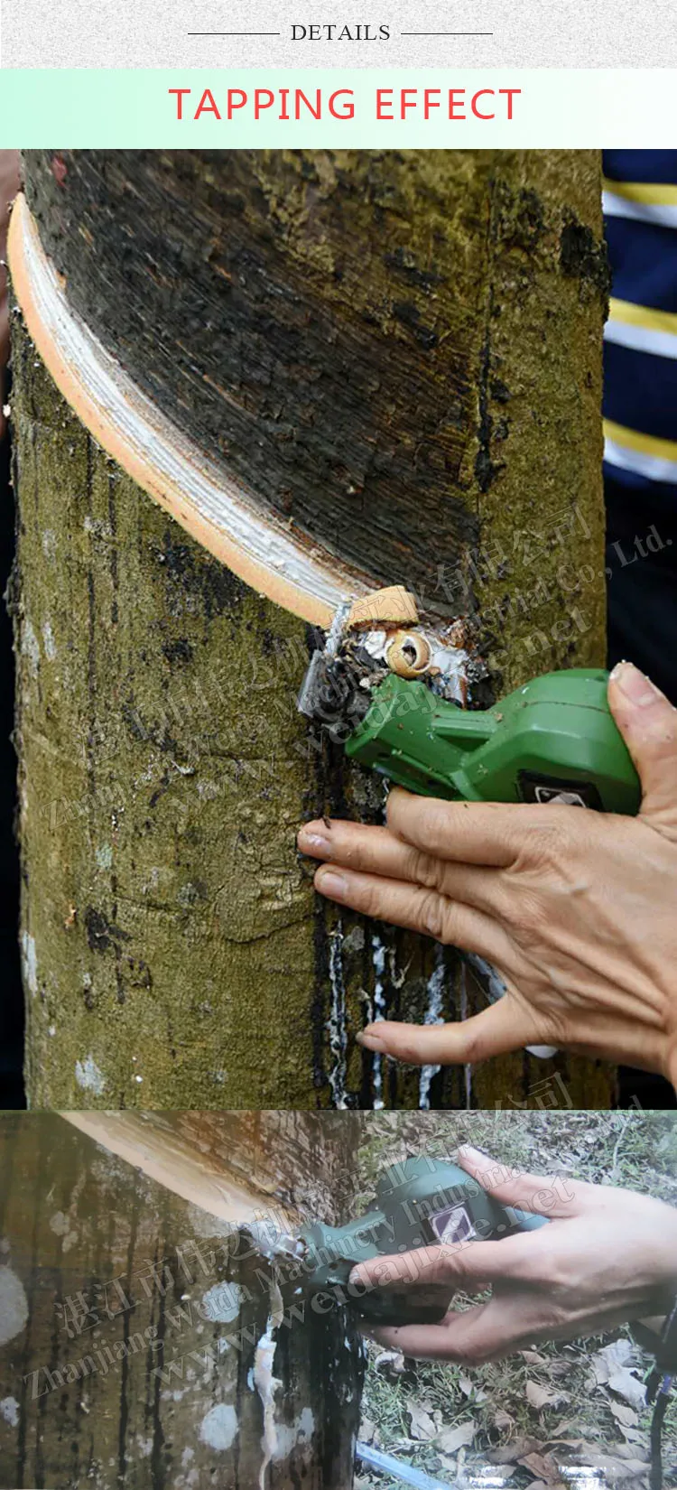 Easy To Operate Tapping Knife Rubber Tree With Good Effect Buy