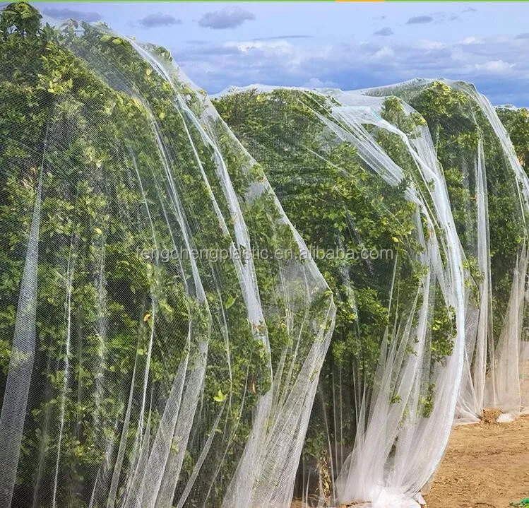 China Factory Supply Farm Insect Netting,White Fly Insect Net Anti
