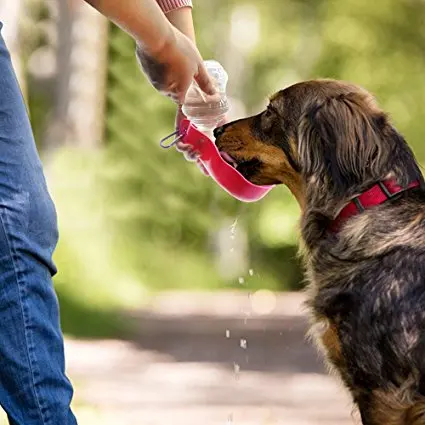 Alibaba China Manufacturer Pet Bottle, MINI Dog Water Bottle, Pet Plastic Bottle