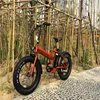 Easy rider electric bike 8 fun controller 60 mph