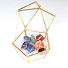Wholesale Natural Crystal Wand Gift Glass Box Seven Colors Raw Energy Gemstone Seven Star Array