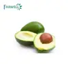 /product-detail/farwell-jojoba-oil-with-good-quality-made-in-china-60782233459.html