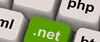 Looking for Business Partner in. net programming