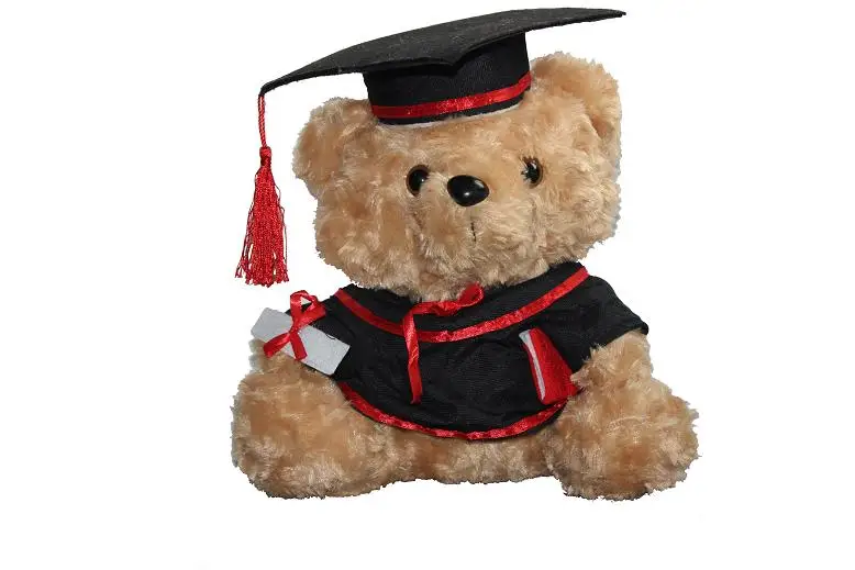 wholesale graduation teddy bears