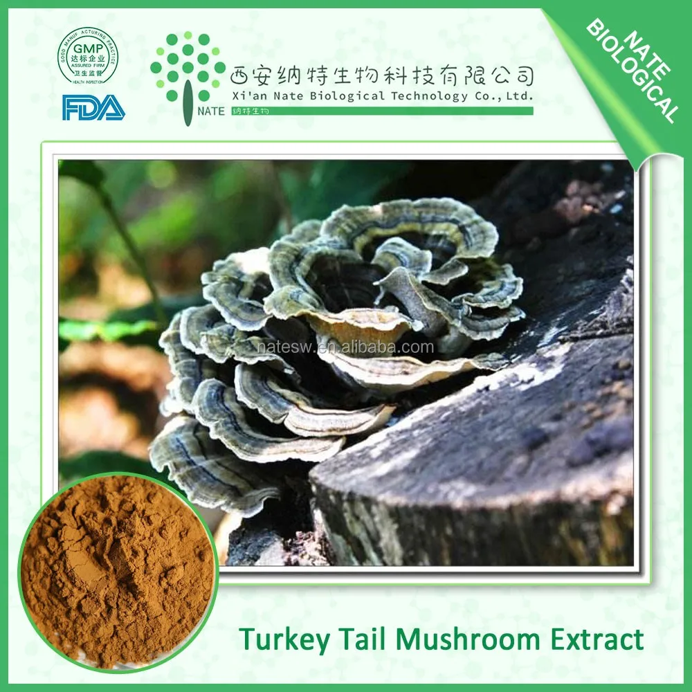 Turkey Tail Mushroom Extract Polysaccharide Krestin Psk 30 50 Buy