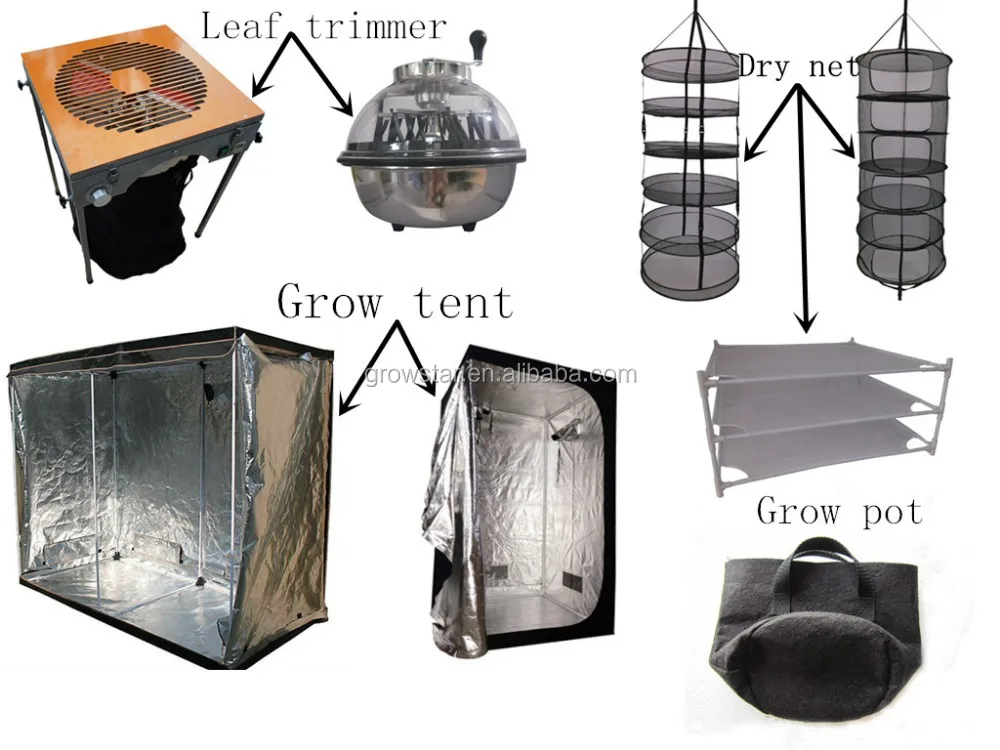 grow tent dry net leaf trimmer and grow bag.jpg
