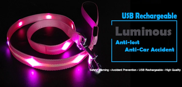 High Quality Pet Been Seen Night Walking Safety USB Rechargeable led dog leash