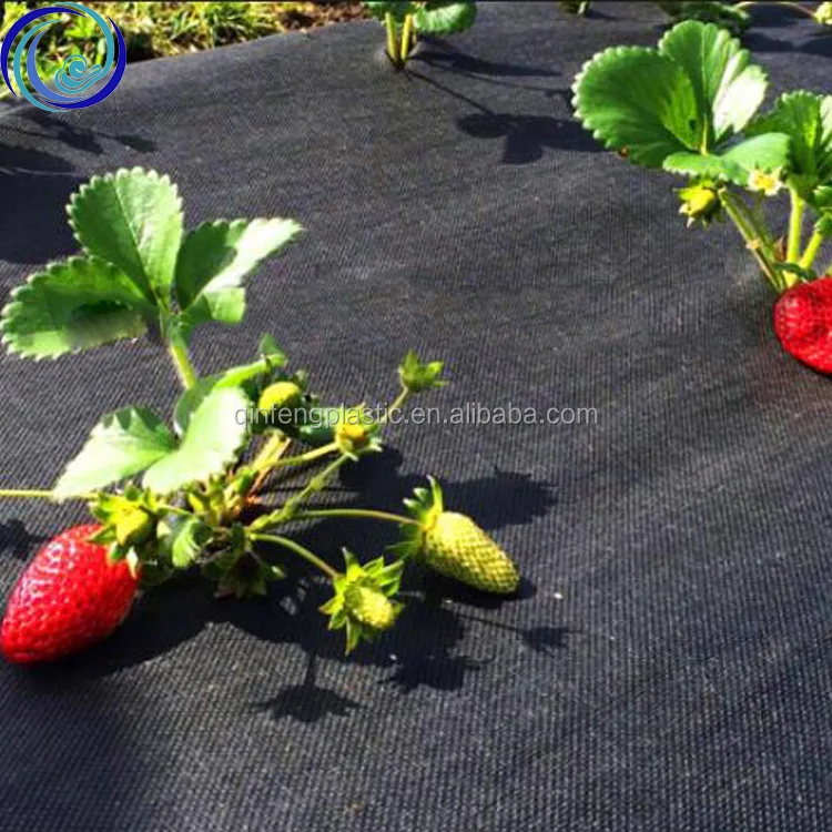 Weed Control Plating Mat Grow Grid Weed Control Planting Mat Garden