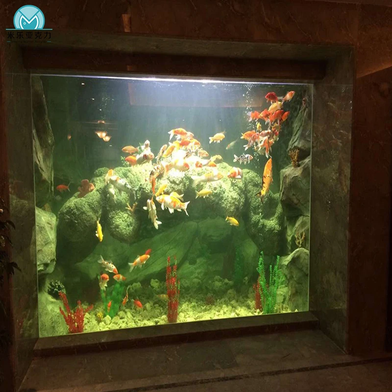 china reef aquarium tank