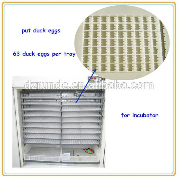 egg tray for incubator
