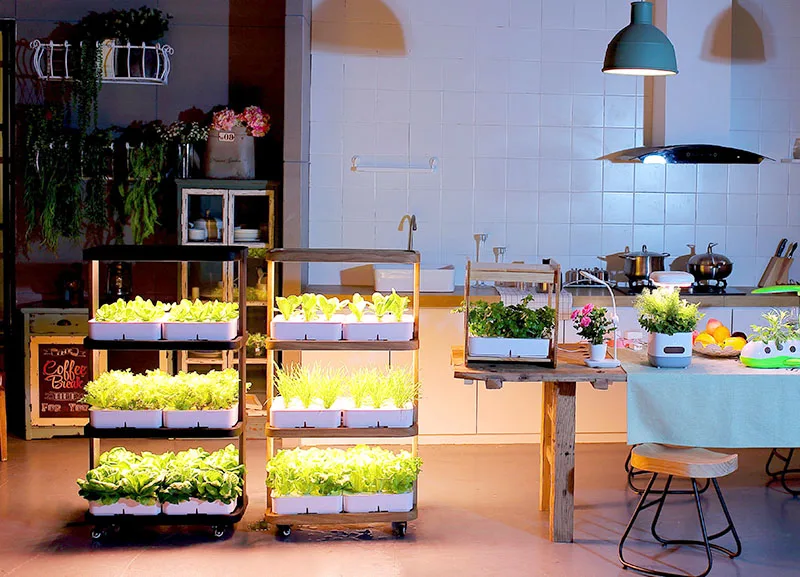 Hot Sale Eco Kitchen 120w 3 Layers Full Spectrum Led Grow Lights