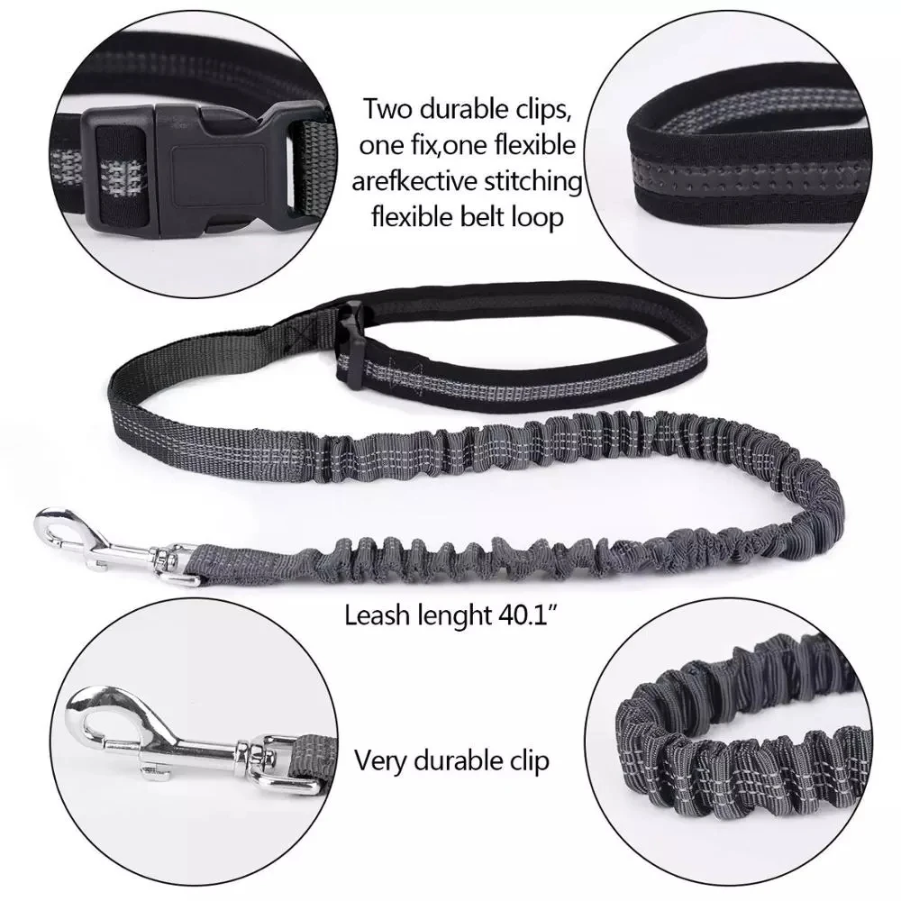 hands free safety dog leash