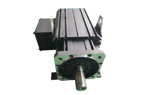 Permanent-magnet-synchronous-servo-motor