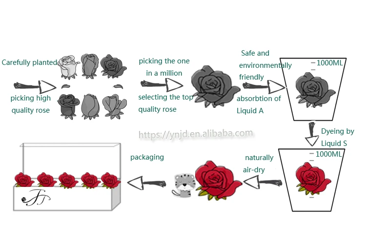 preserved process.jpg