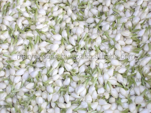 Fresh Indian Jasmine Flowers Buy South Indian Flowers Fresh