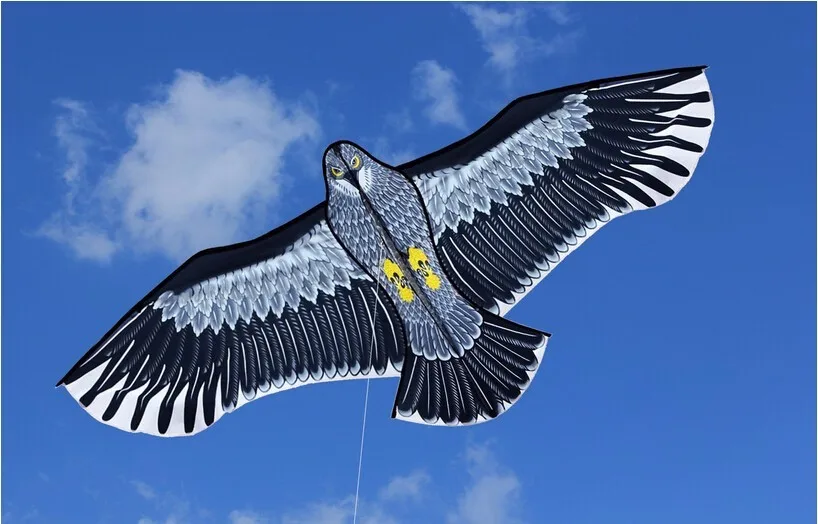 Chinese 1.8m Large Animal Hawk Bird Eagle Kite With Flying Line Buy