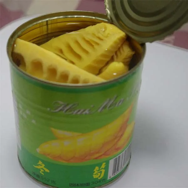 Canned Bamboo Shoot In Tin Dried Bamboo Shoot 552g Buy Dried Bamboo
