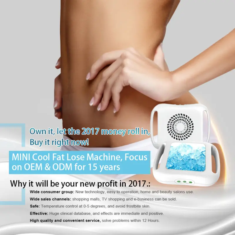 2018 Hot sales home use frozen to lose weight device